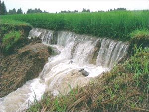 柳津町水田の畦畔崩壊写真