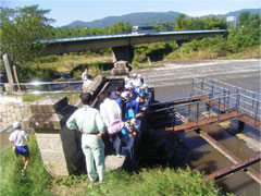 小川江筋堰の写真