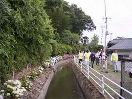 散歩道ウォーク