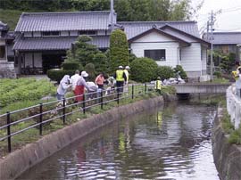 あじさいの植栽