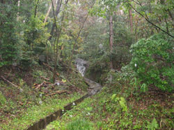 隠居沢小滝