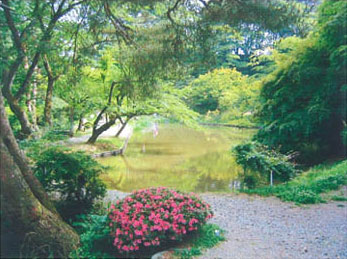 霞ケ城公園（るり池）の写真