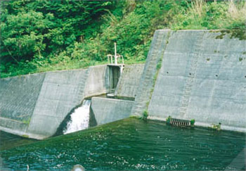 井野目堰取水口の写真