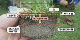 「第6回　芝生の除染」のサムネイル画像